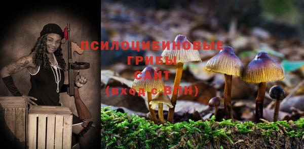 первитин Белокуриха