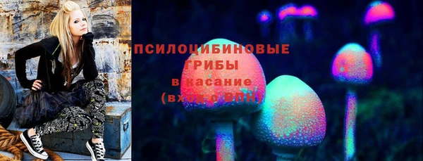 первитин Белокуриха