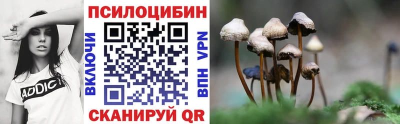 mega как зайти  купить  сайты  Тында  Псилоцибиновые грибы ЛСД 